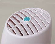 Anion air purifier