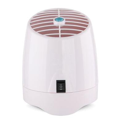 Anion air purifier