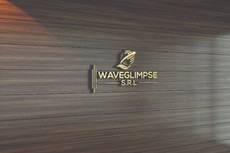 Waveglimpse 